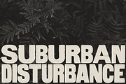 Aurochs: letterpress type family, a Sans Serif Font by Polymath (Thumbnail 8 of 12)