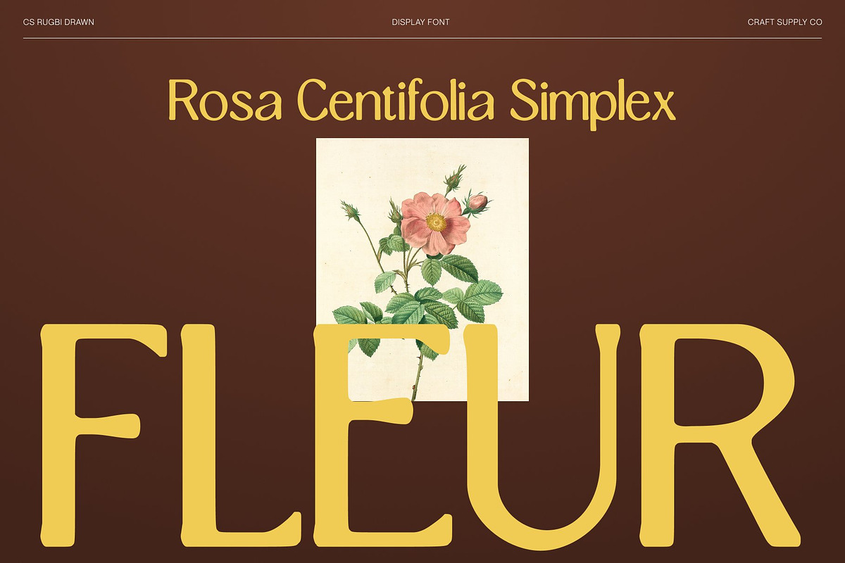 CS Rugbi Drawn, a Serif Font by Craft Supply Co. (Photo 2 of 8)