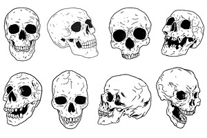 Skulls - Hand Drawn