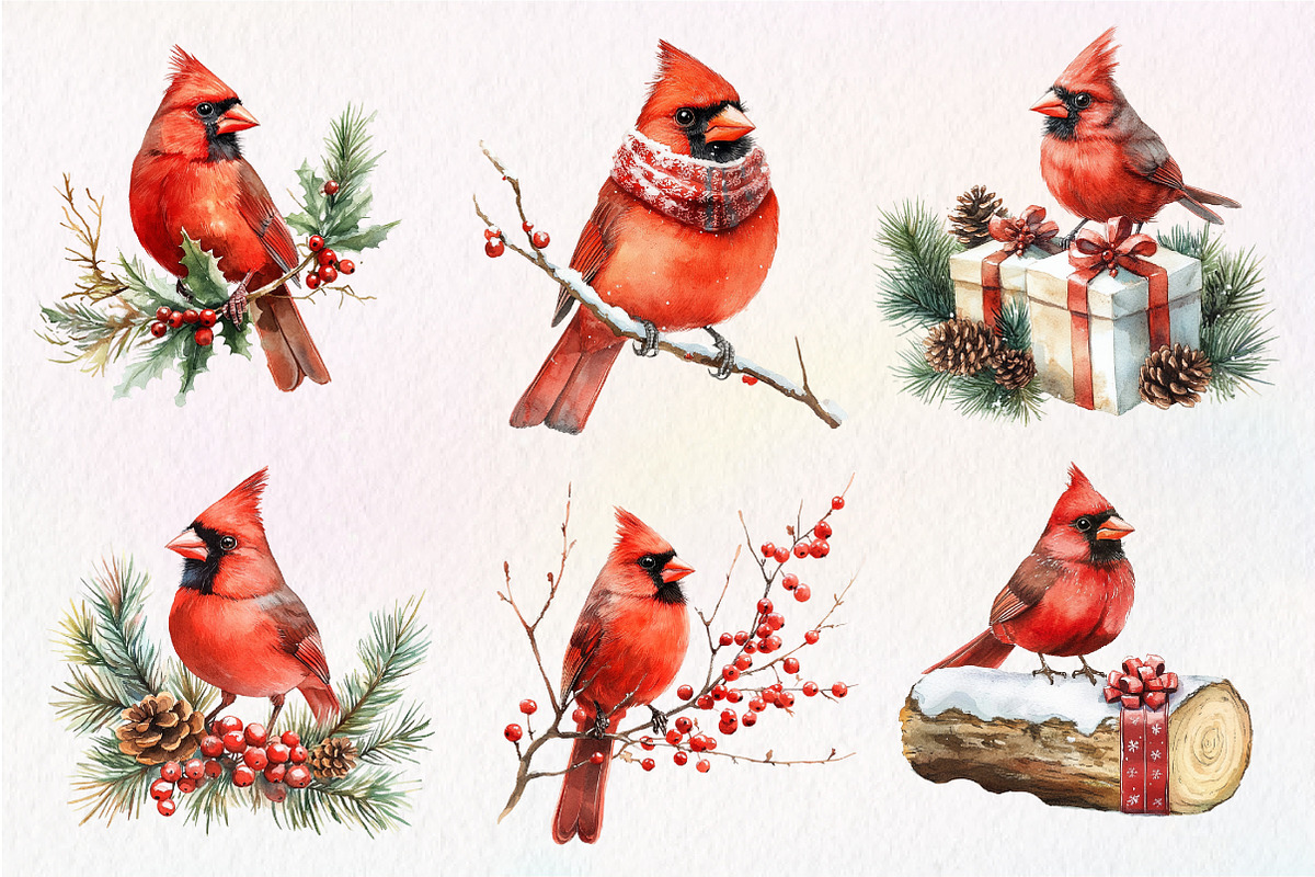 Red Cardinals Christmas Sublimation, an Illustration by Dream Creation (Photo 3 of 7)