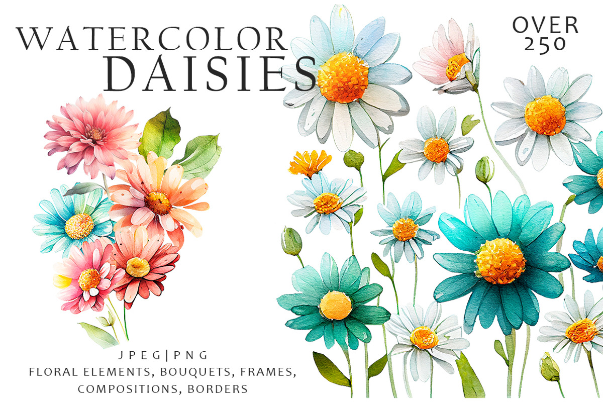 Watercolor Daisies Flowers Clipart, an Object Illustration by Evgeniia (Photo 1 of 8)