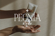Chromate / Modern Serif Font Duo, a Serif Font by supfonts (Thumbnail 6 of 10)