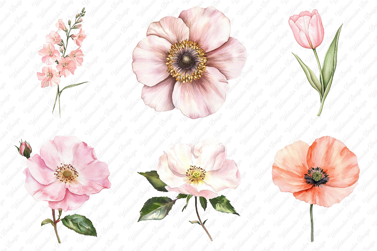 Watercolor Blush Wild Flowers, an Illustration by Watercolor design (Photo 4 of 12)