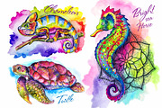 Set of bright watercolor animals, an Animal Illustration by Siriliadka Dreams (Thumbnail 3 of 11)