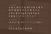 Random Elegant Serif Font, a Serif Font by Graphicxell (Thumbnail 7 of 8)
