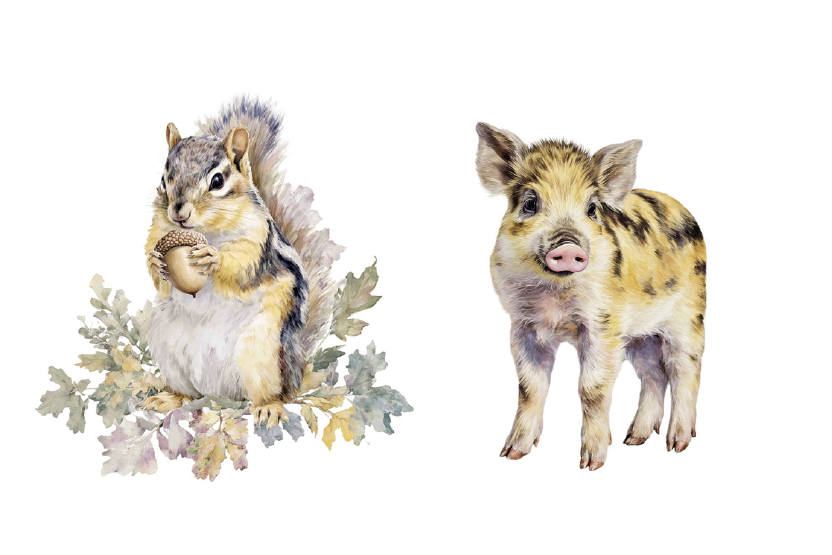 Watercolor Woodland Animals clipart, an Illustration by Designworld (Photo 5 of 5)