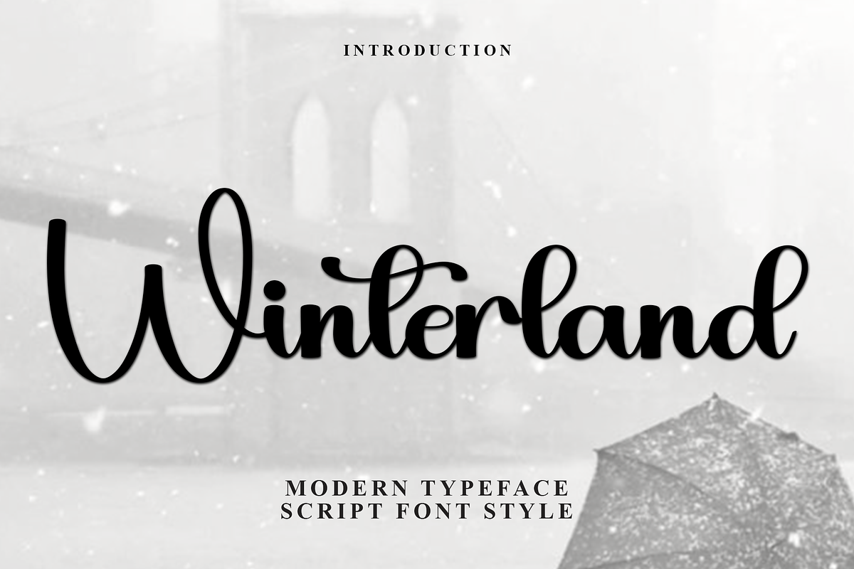 Winterland, a Handwritten Font by InermediaSTUDIO (Photo 1 of 8)