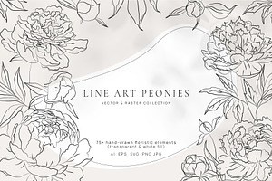 Line Art Peonies Illustrations