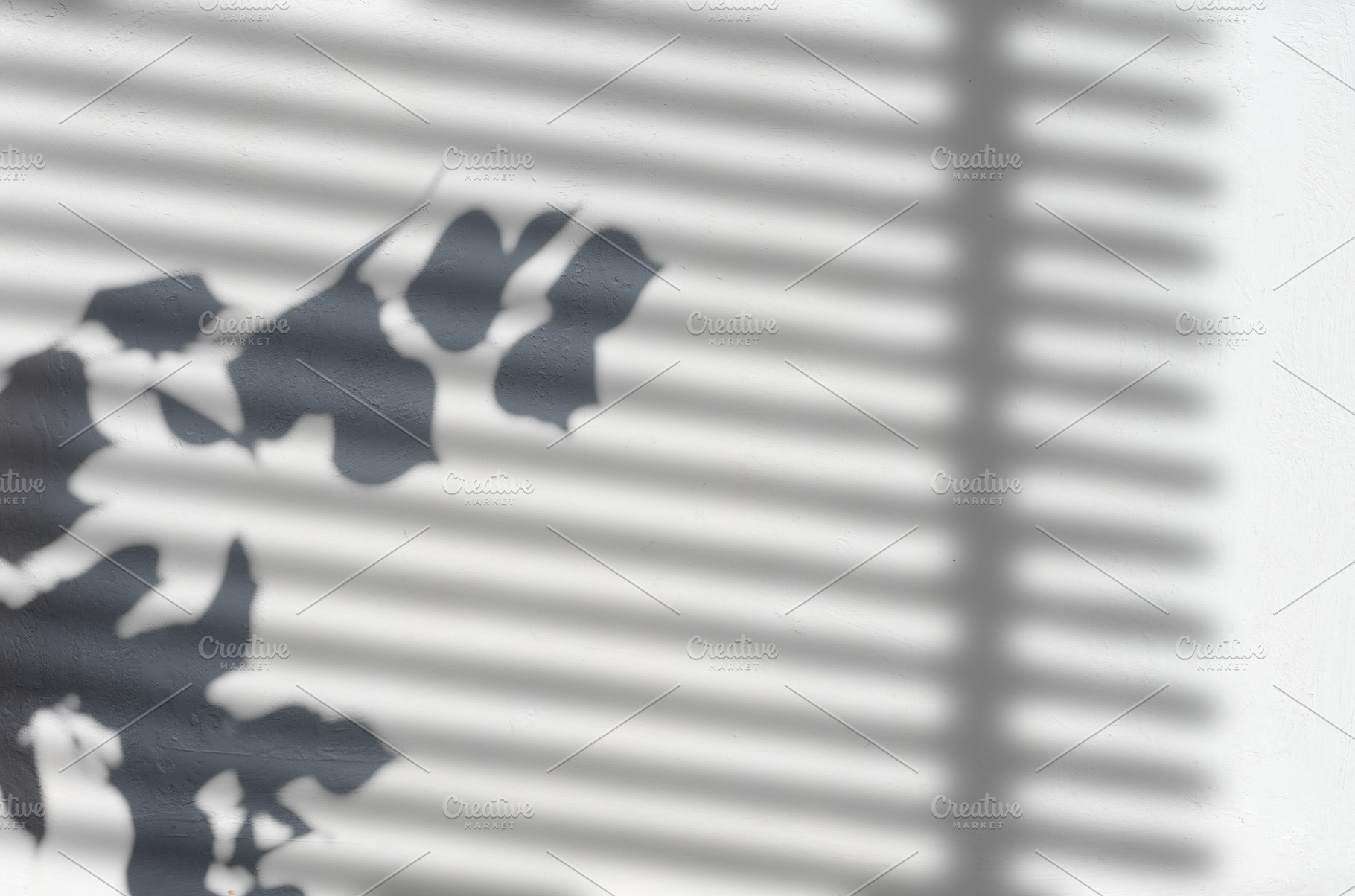 Shadows from a branch with leaves and blinds on a light wall., a Background Photo by ndanko
