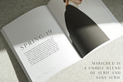 Marigold - Font duo and logo set, a Serif Font by Tropical Type (Thumbnail 3 of 11)
