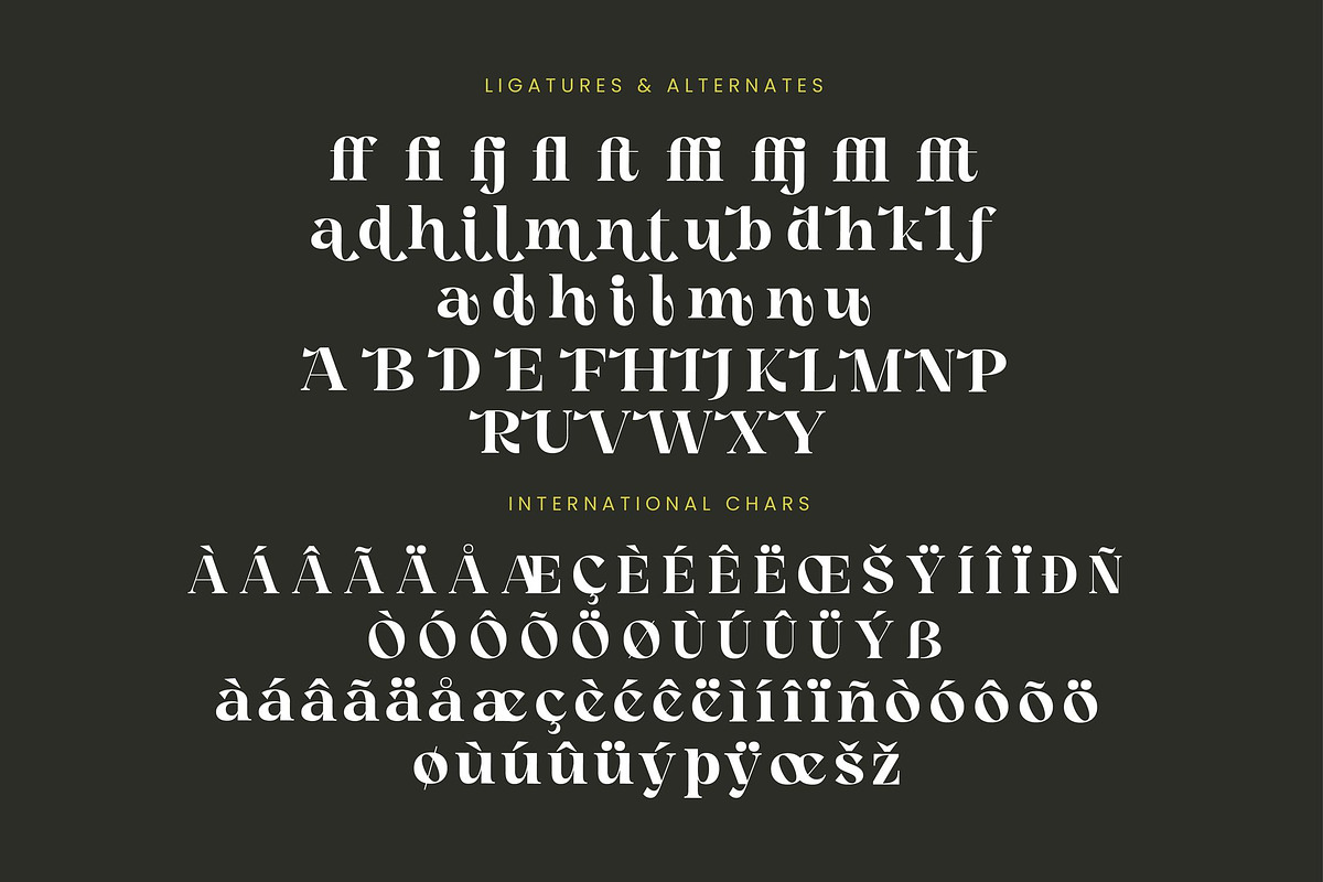 Angfia Relaftio Modern Serif Font, a Script Font by Letterena Studios (Photo 14 of 15)