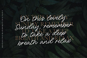Sunday Bridge - Monoline Handwritten, a Script Font by Letterative Studio (Thumbnail 5 of 7)