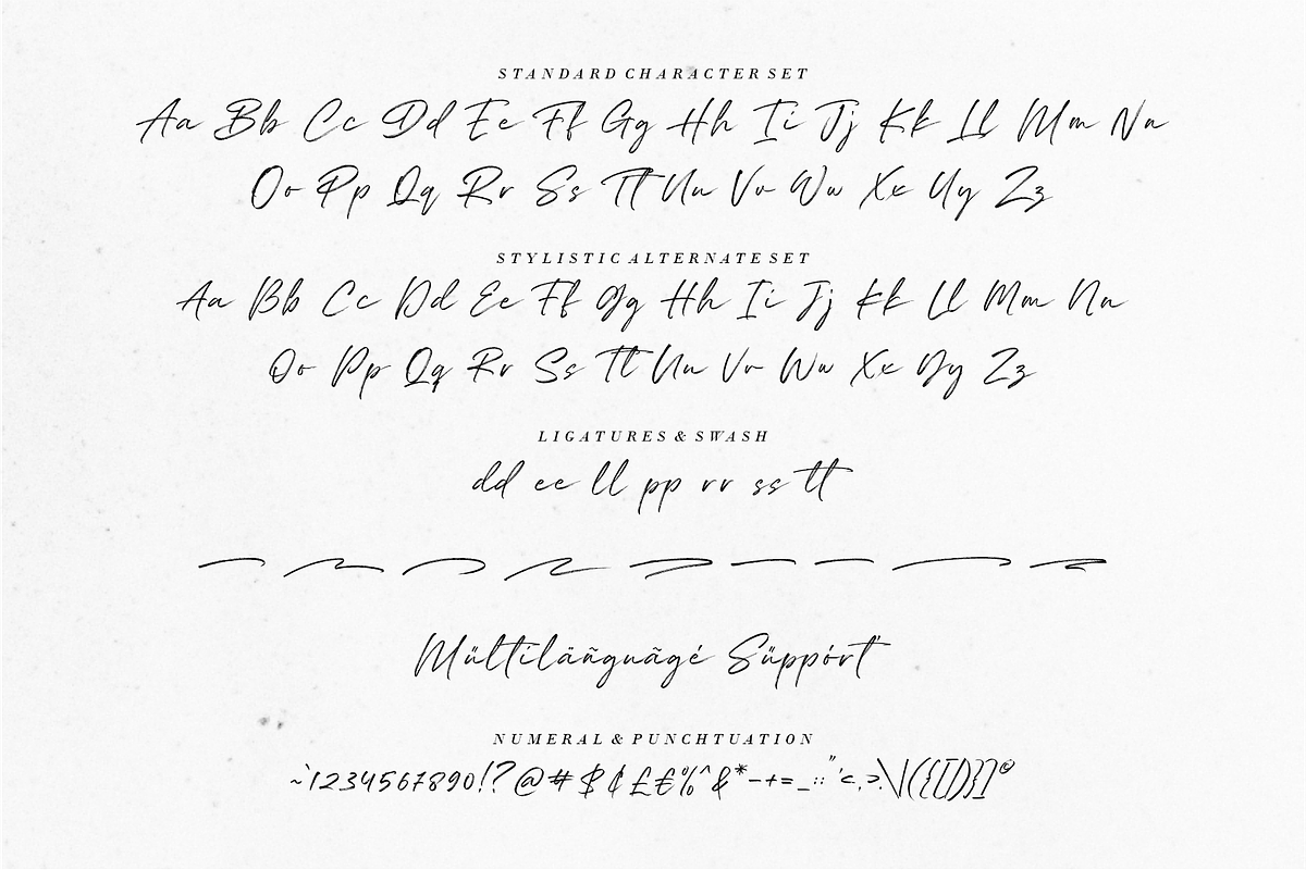 Leighton | authentic brush font, a Script Font by RedyStudio (Photo 13 of 13)