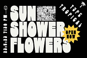 Display Font Collection, a Slab Serif Font by Tropical Type (Thumbnail 28 of 46)