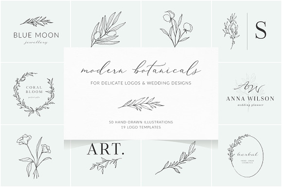Botanical logos & illustrations preview 5