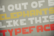 Daruma, a Sans Serif Font by TypeKatsu (Thumbnail 3 of 3)