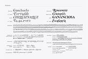 Berganza Font, a Serif Font by Cuchi, qué Tipo! Foundry (Thumbnail 9 of 10)