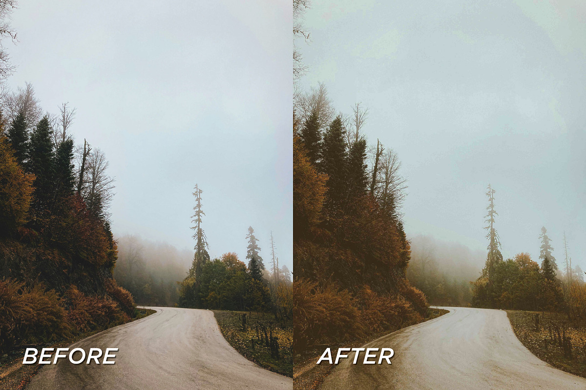 25 Fall Film Lightroom Presets, a Preset Add-On by TheWayfarerShoppe (Photo 7 of 7)