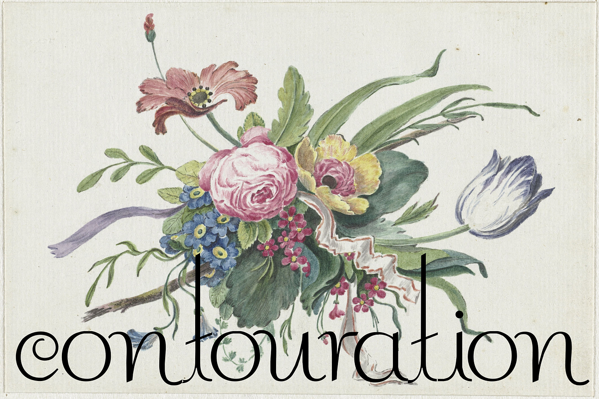 Contouration, a Serif Font by Intellecta Design (Photo 1 of 5)