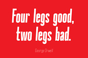 Okana Condensed Sans Serif, a Sans Serif Font by CorgiAstronaut (Thumbnail 4 of 9)