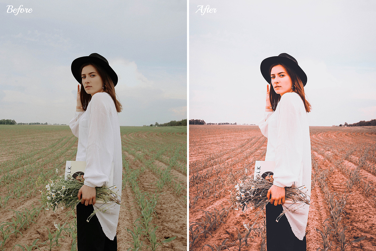 25% OFF Light & Orange Presets Pack, an Action Add-On by Andit themes (Photo 9 of 13)