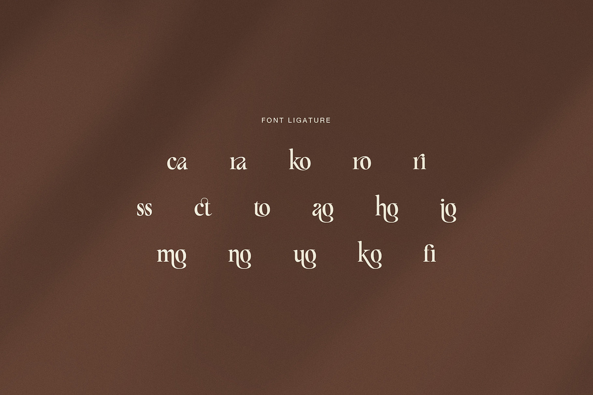 Bragget Elegant Serif Font, a Serif Font by Perfectype (Photo 7 of 8)