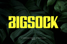 Bigsock Condensed Display Font