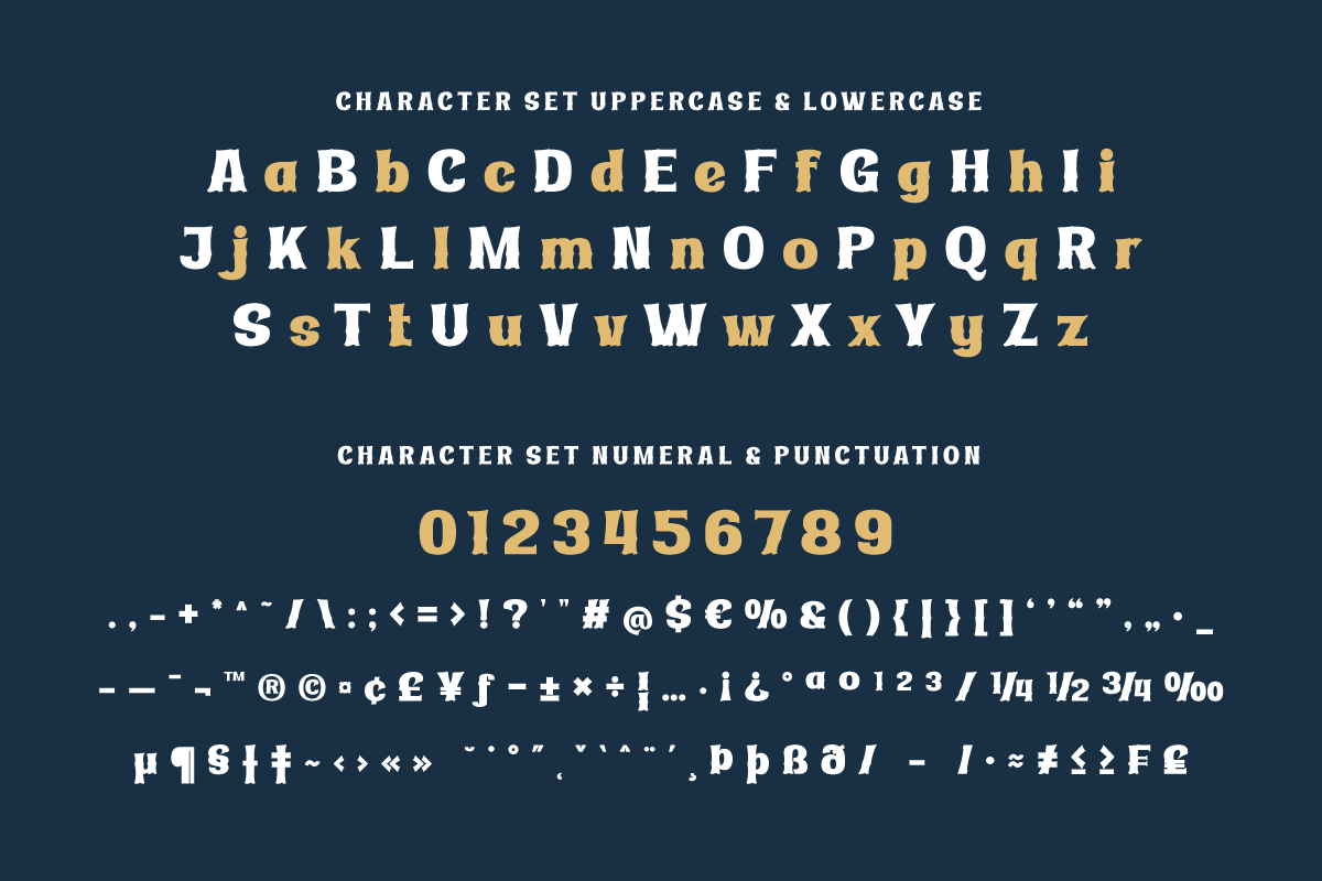 Ridasbin | Serif Classic Modernism, a Serif Font by twinstd (Photo 10 of 13)