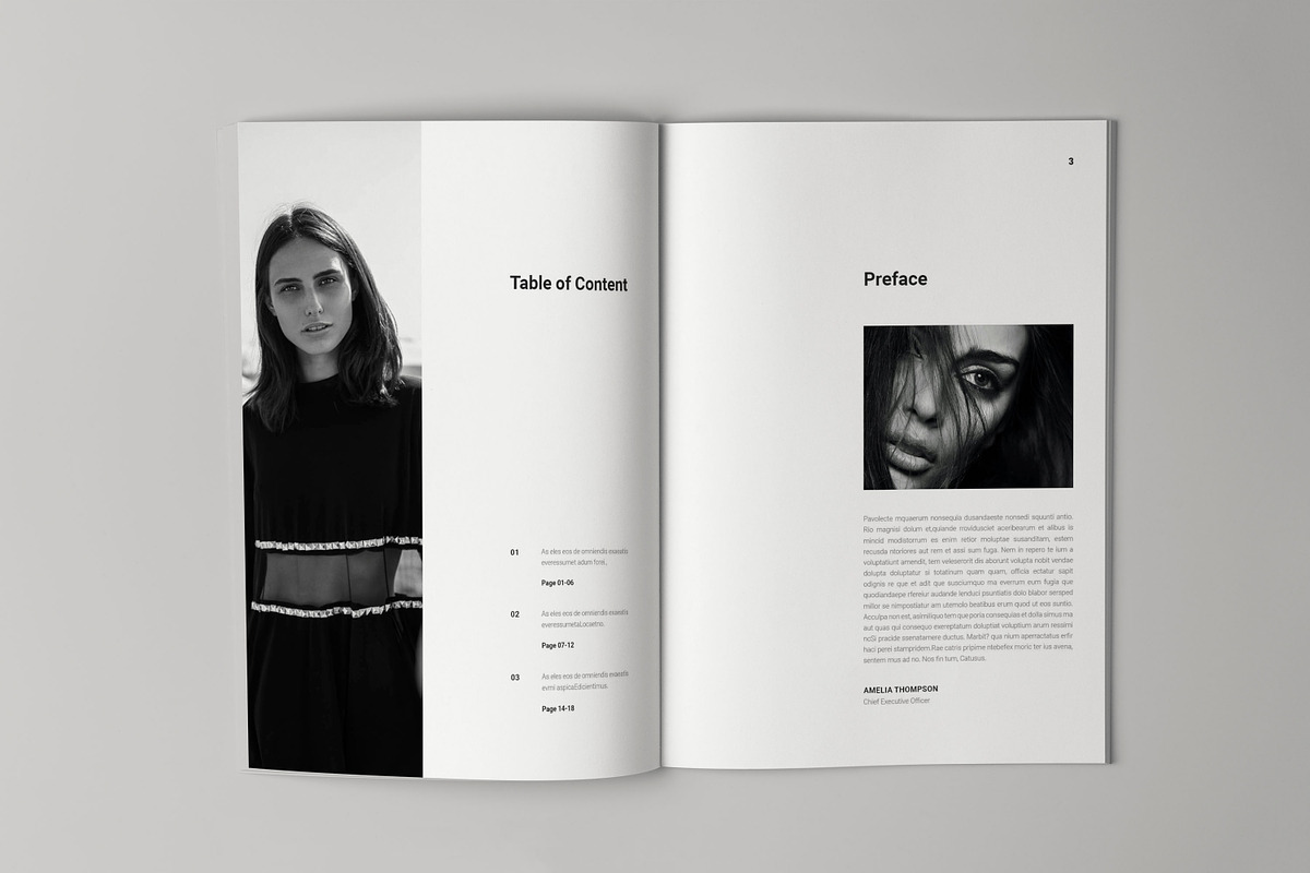 Case Study Template, a Brochure Template by HR Studio (Photo 2 of 12)