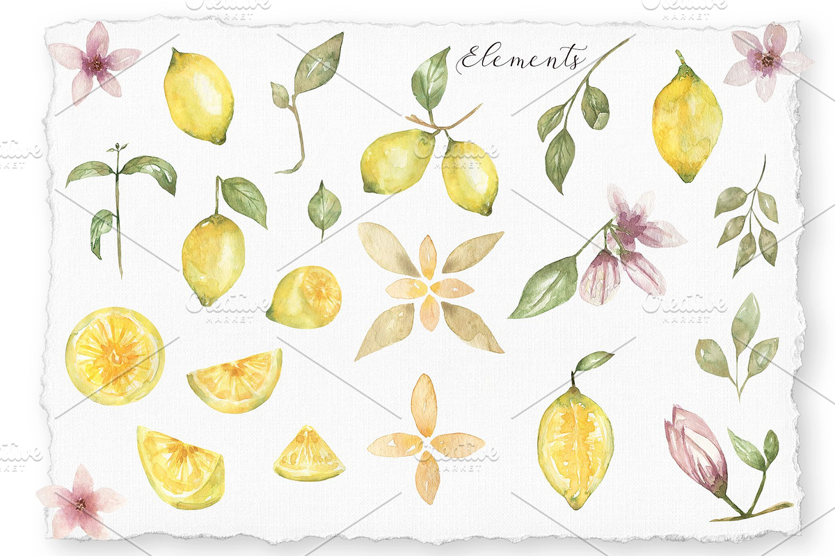 Sunny Sicilian Lemon, a Decorative Illustration by MayaNavits (Photo 8 of 11)