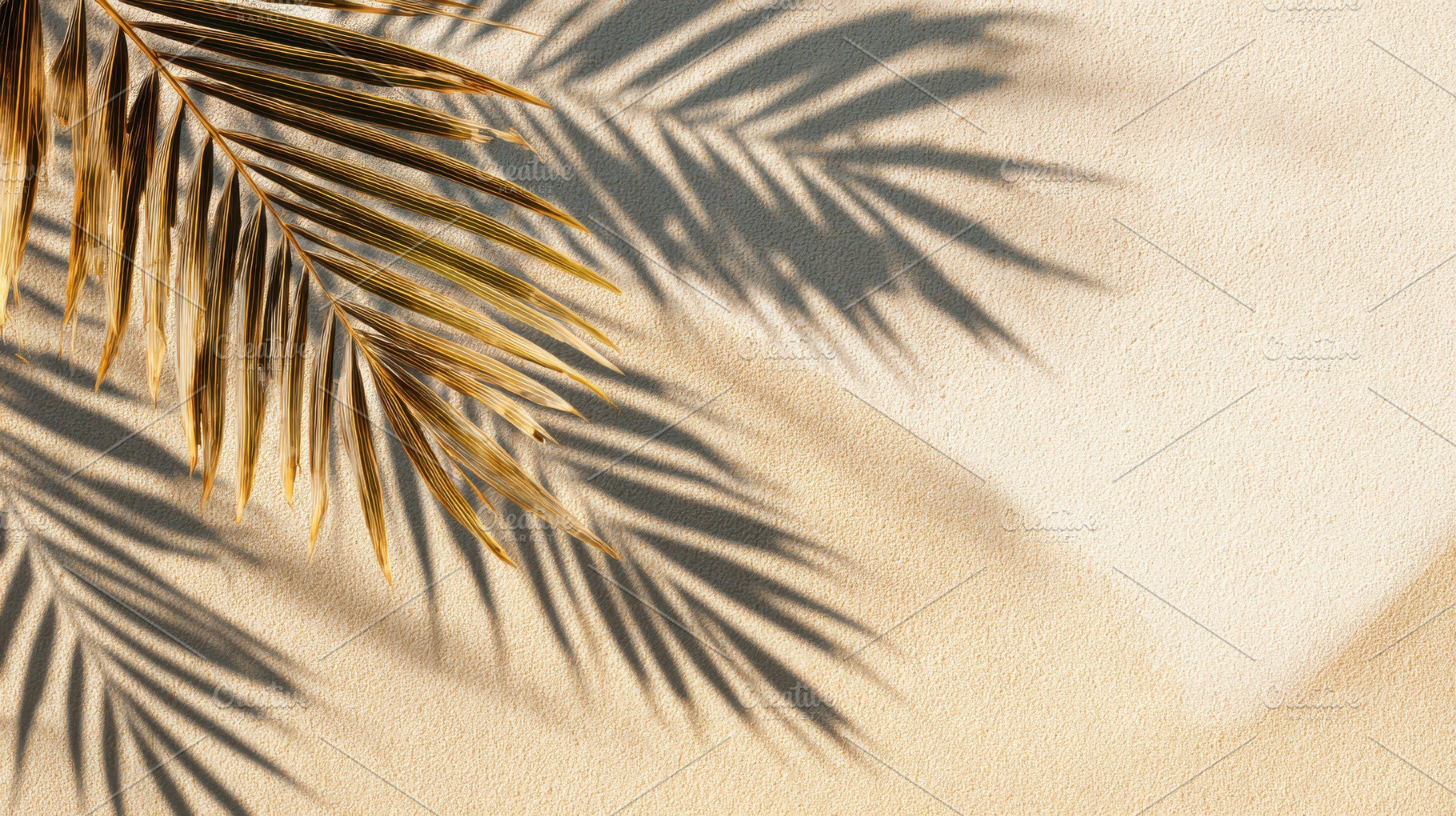 Tropical leaf shadows dance across, a Photo by Pavel_design