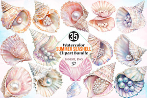 Watercolor Summer Seashell Clipart, an Illustration by Canvas Craft