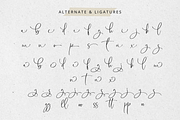 Callistia Signature, a Script Font by Silverdav (Thumbnail 11 of 11)
