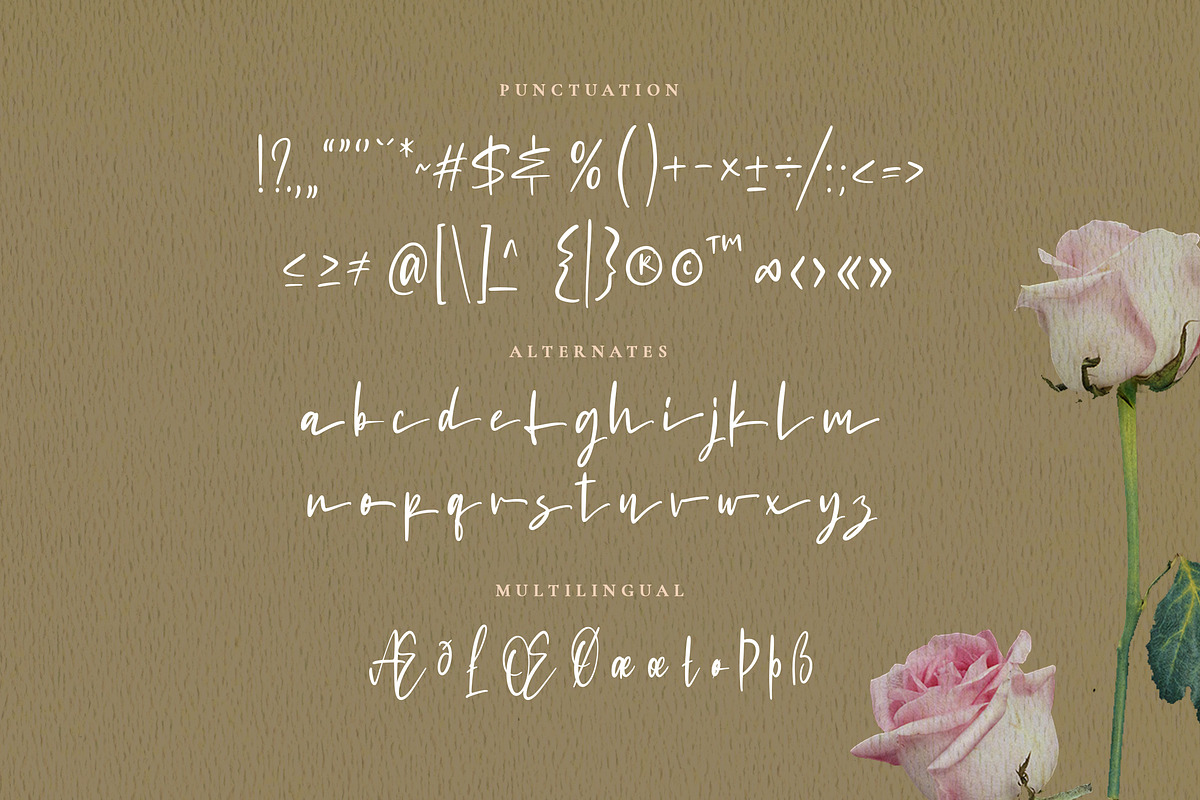 Puertofino - Modern Handwritten, a Script Font by Typehand Studio (Photo 4 of 8)
