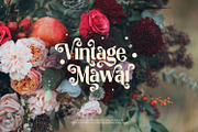 True Sage - Decorative Serif Family, a Font by creativemedialab (Thumbnail 5 of 16)