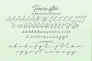 Harington Signature, a Script Font by Omotu Studio (Thumbnail 11 of 12)