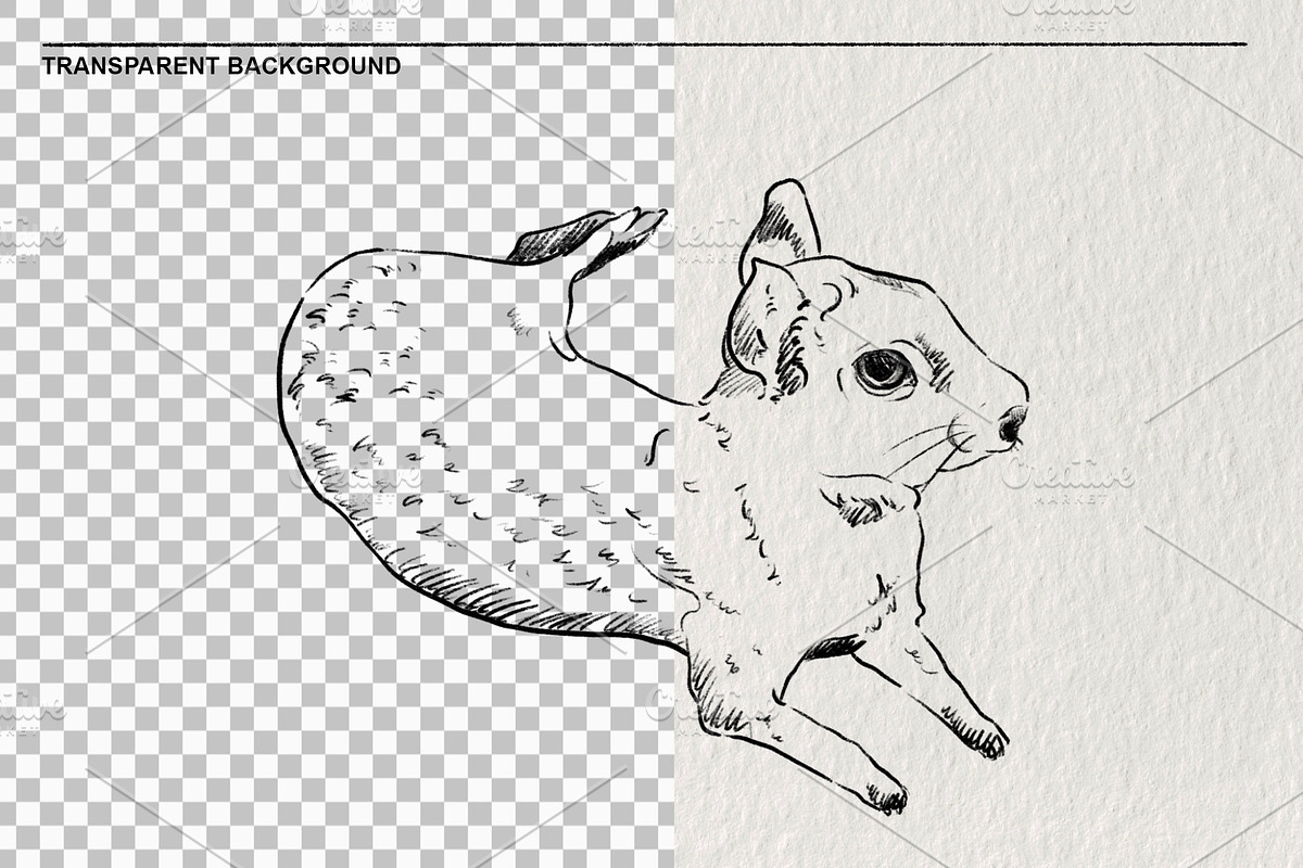 Sketches of the Mara animal in PNG, an Animal Illustration by LOKSKIH (Photo 2 of 6)