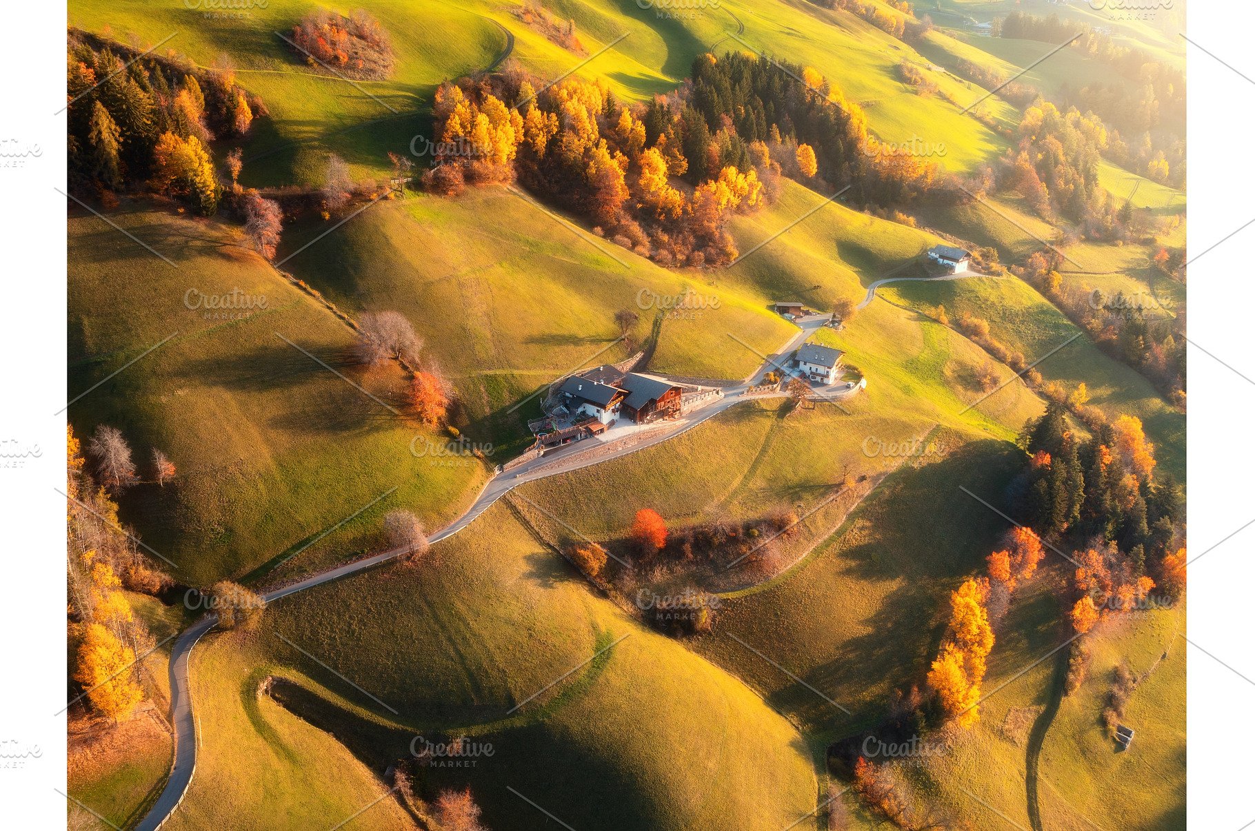 Aerial view of green alpine valley, a Nature Photo by den-belitsky