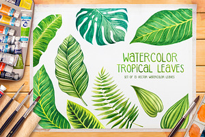 Tropical leaves. Watercolor vector.