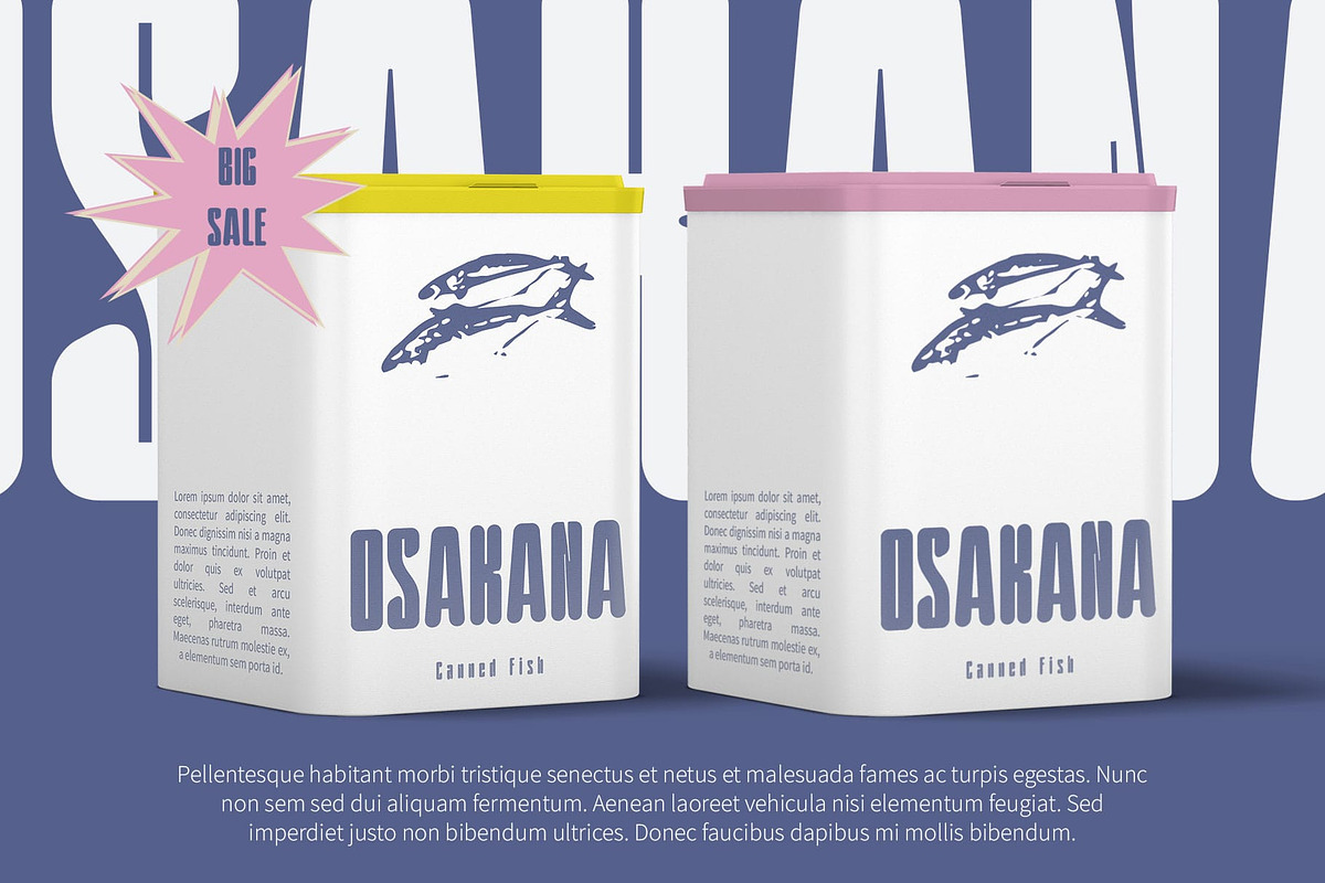 Kolinka Rounded, a Sans Serif Font by Craft Supply Co. (Photo 7 of 8)