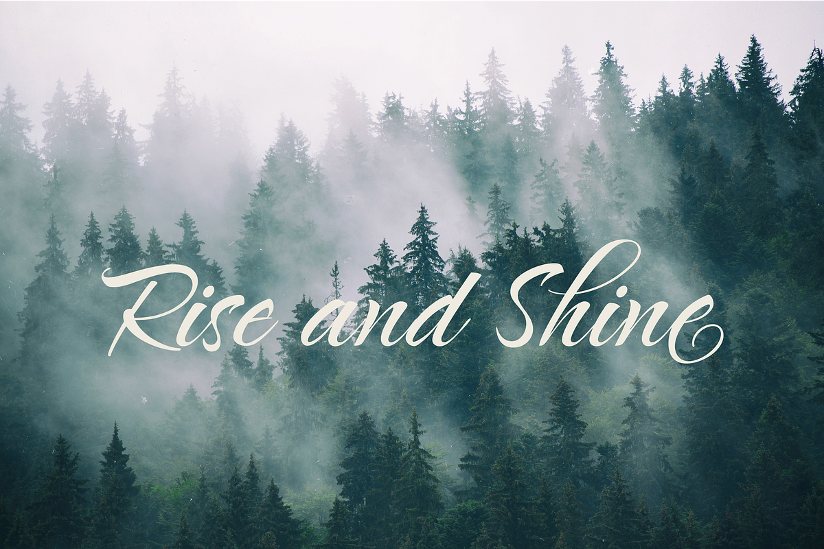 Nolly Oly Wedding Calligraphy Script, a Script Font by Creative Foundry (Photo 5 of 8)