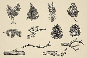 Nature Forest Hand Drawn Elements 1