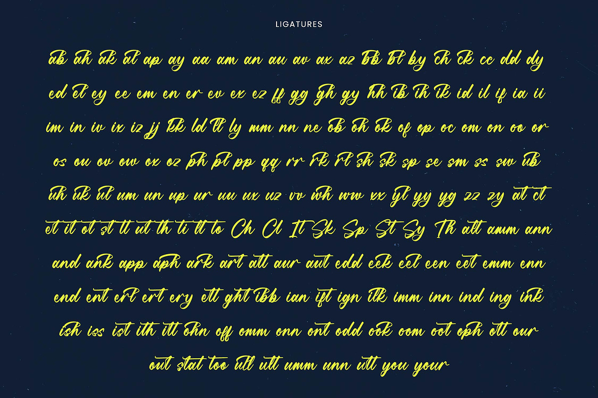 Manteca Backlif Bold Calligraphy, a Script Font by Letterena Studios Script (Photo 19 of 20)