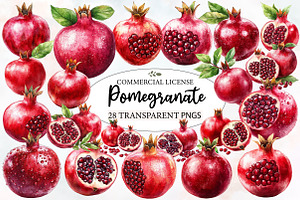 Pomegranate Watercolor Cliparts, an Illustration by Designworld
