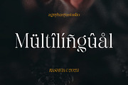 Rashela - A Decorative Serif, a Serif Font by agnyhasyastudio (Thumbnail 9 of 10)
