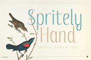 Spritely Hand — Organic Display Font, a Handwritten Font by Kevin Foley Fonts (Thumbnail 1 of 11)
