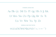 Angelic - Modern Stylish, a Serif Font by RockboyStd (Thumbnail 9 of 12)