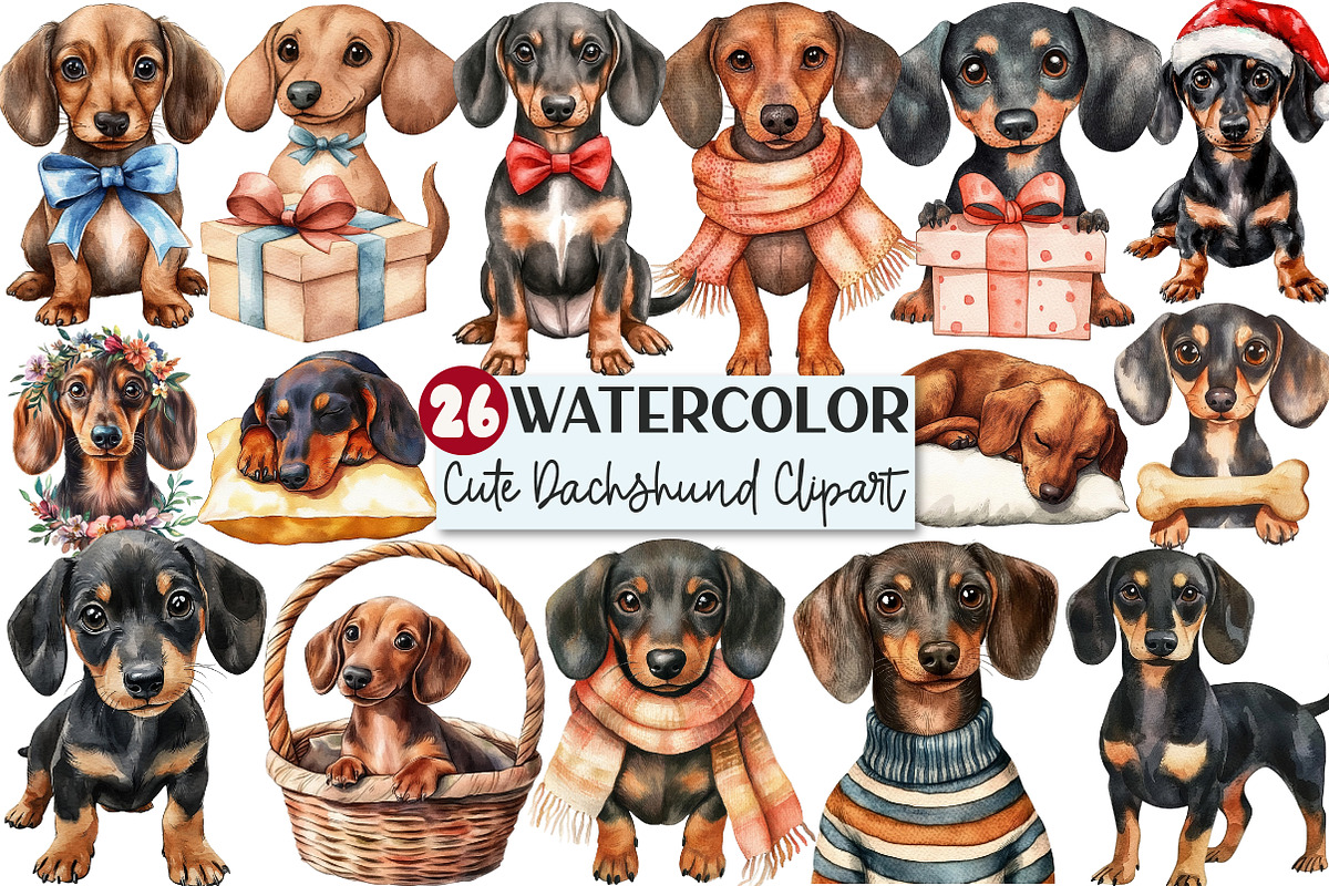 Watercolor Dachshund clipart, an Illustration by Rose Art (Photo 1 of 4)