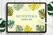 Procreate Botanical Stamps Bundle, a Brush Add-On by Little Nordic Atelier (Thumbnail 13 of 13)
