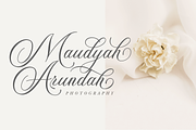 Alexandra Calligraphy, a Script Font by Silverdav (Thumbnail 2 of 9)